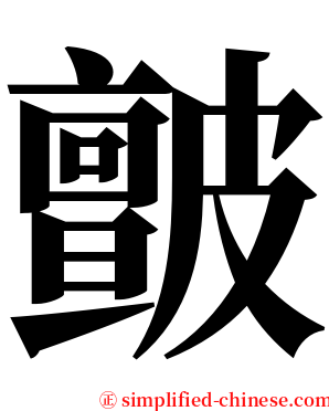 皽 serif font