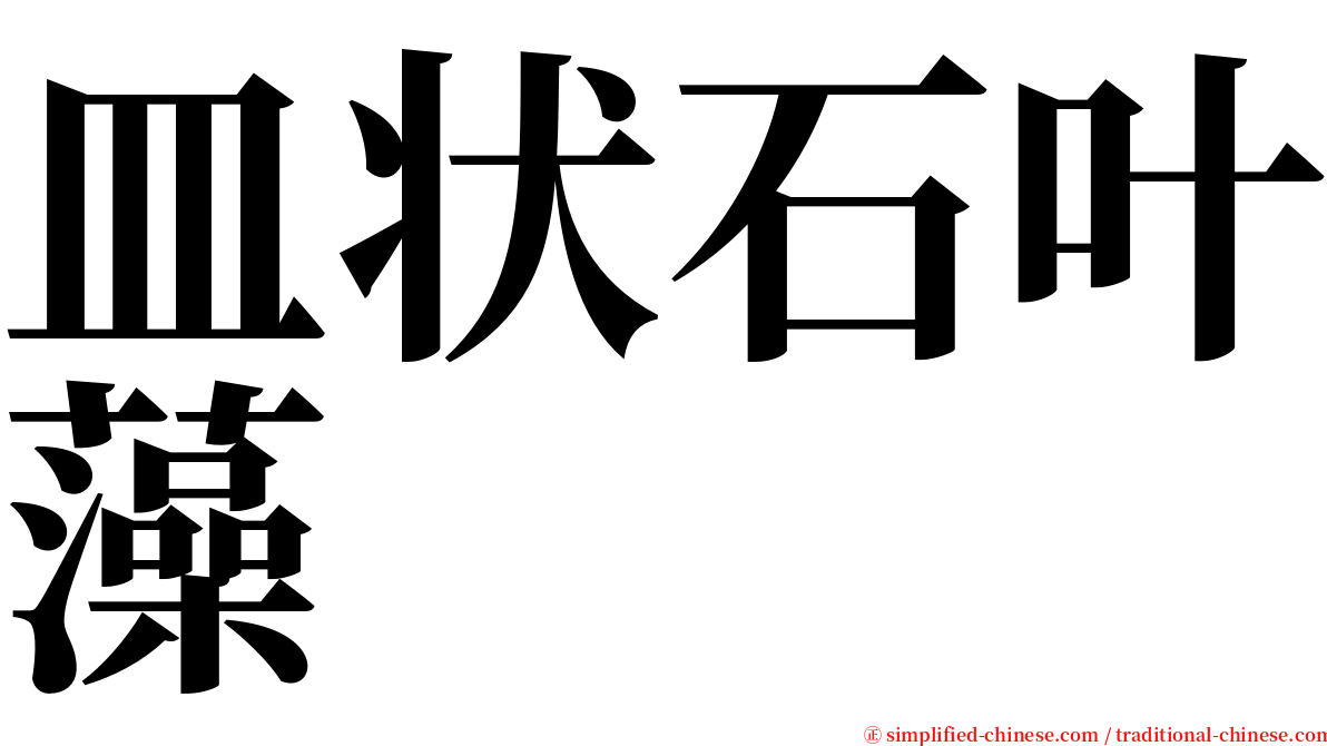 皿状石叶藻 serif font