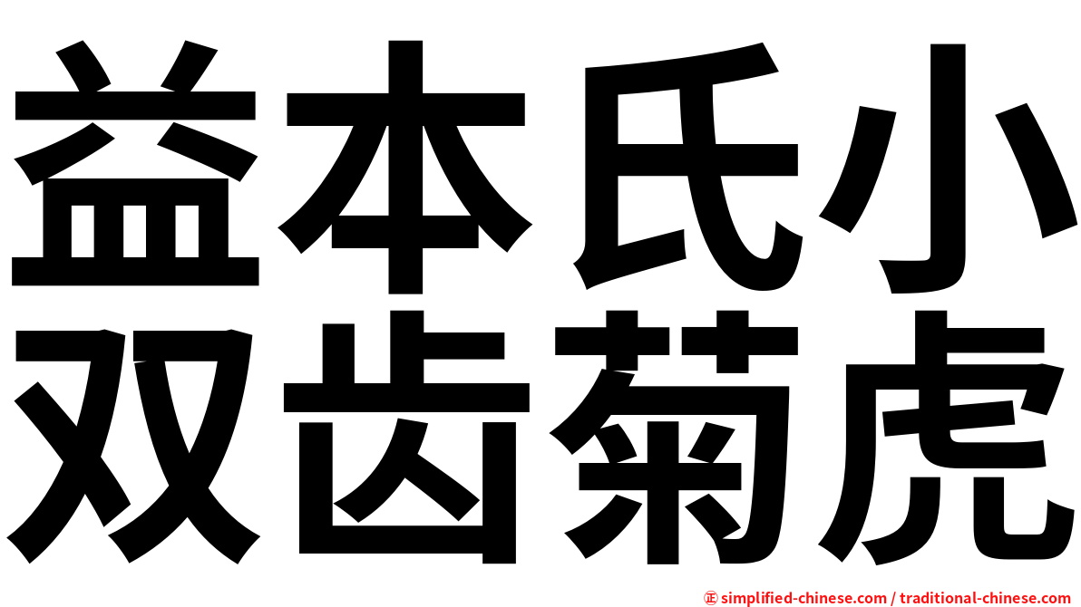 益本氏小双齿菊虎