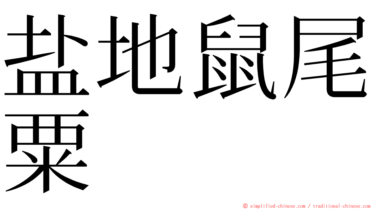 盐地鼠尾粟 ming font