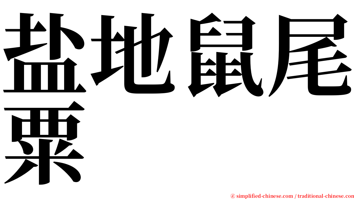 盐地鼠尾粟 serif font