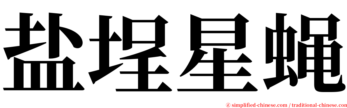 盐埕星蝇 serif font