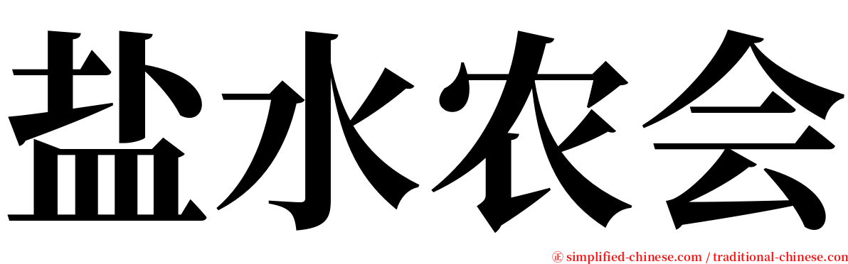 盐水农会 serif font