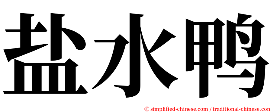 盐水鸭 serif font