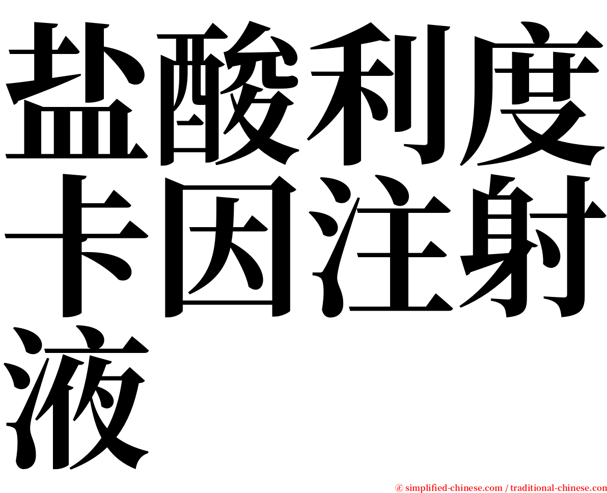 盐酸利度卡因注射液 serif font