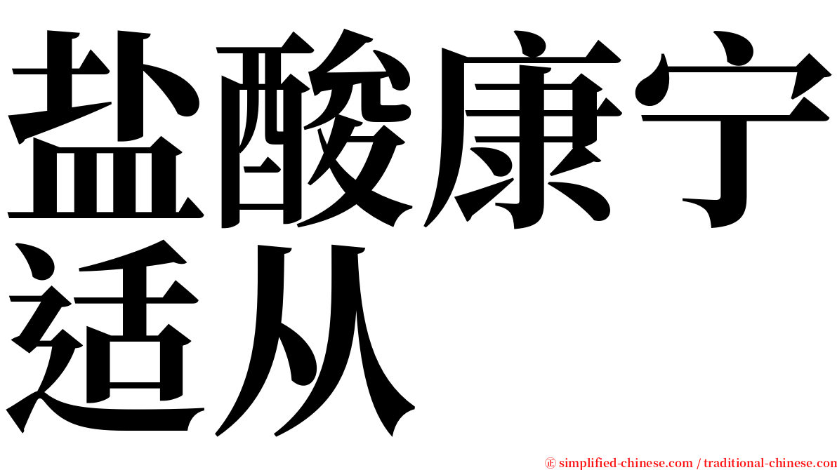 盐酸康宁适从 serif font