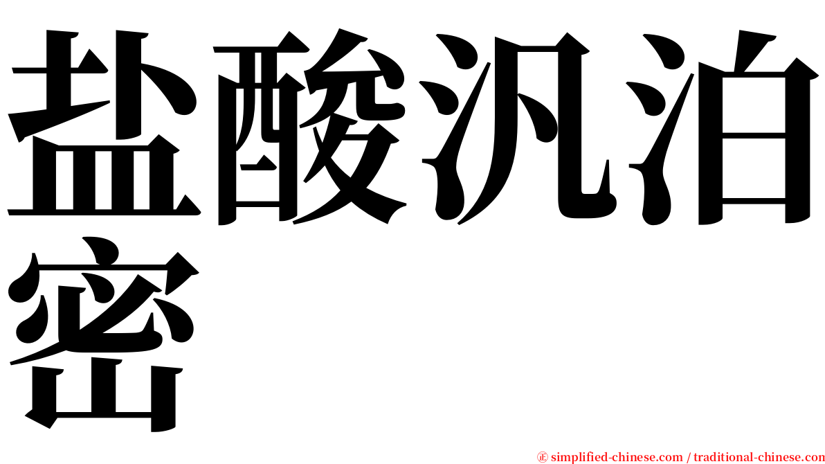 盐酸汎泊密 serif font