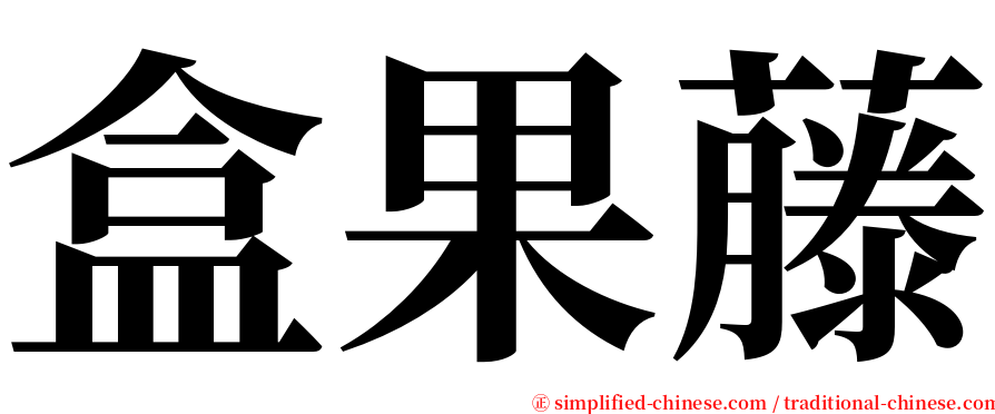 盒果藤 serif font