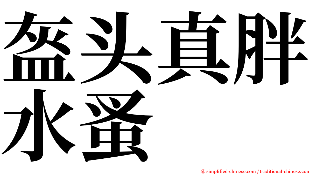 盔头真胖水蚤 serif font