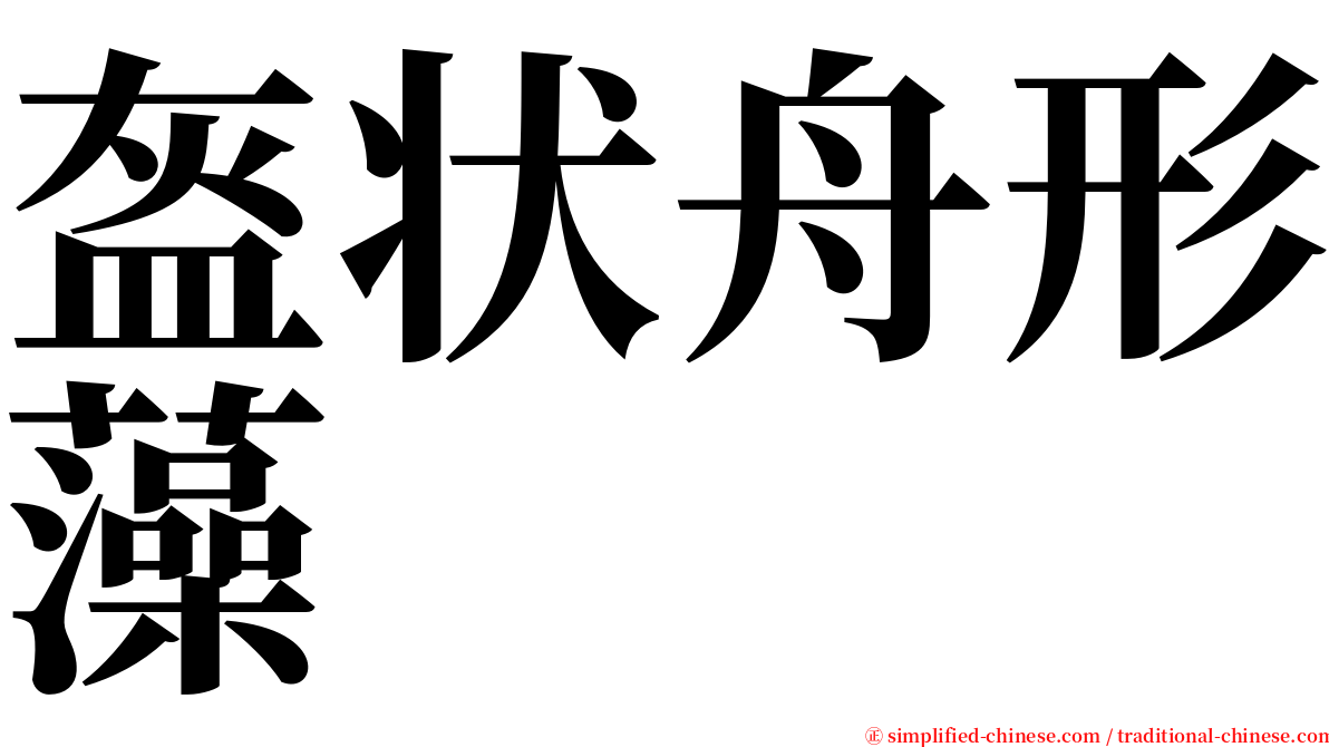 盔状舟形藻 serif font