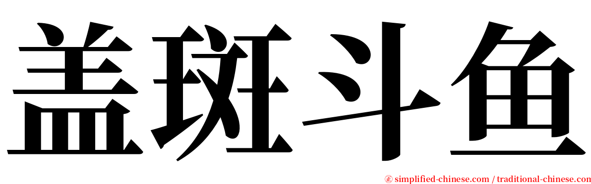 盖斑斗鱼 serif font