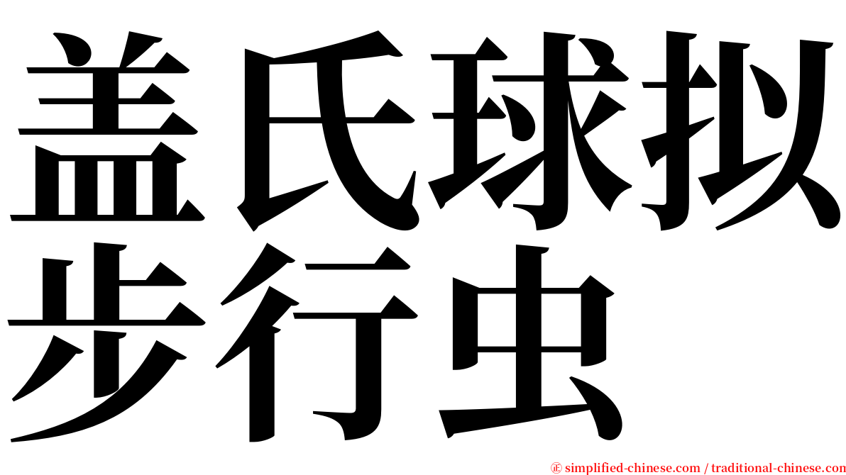 盖氏球拟步行虫 serif font