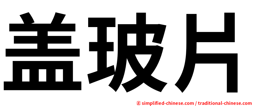 盖玻片