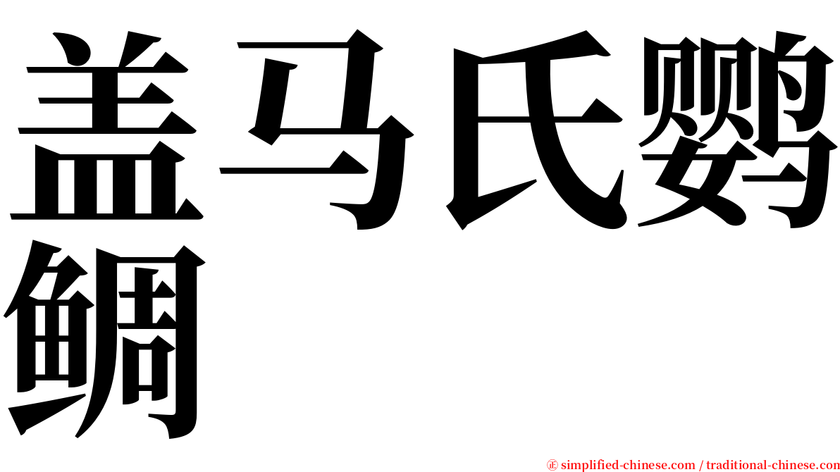 盖马氏鹦鲷 serif font