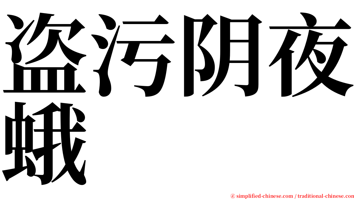 盗污阴夜蛾 serif font