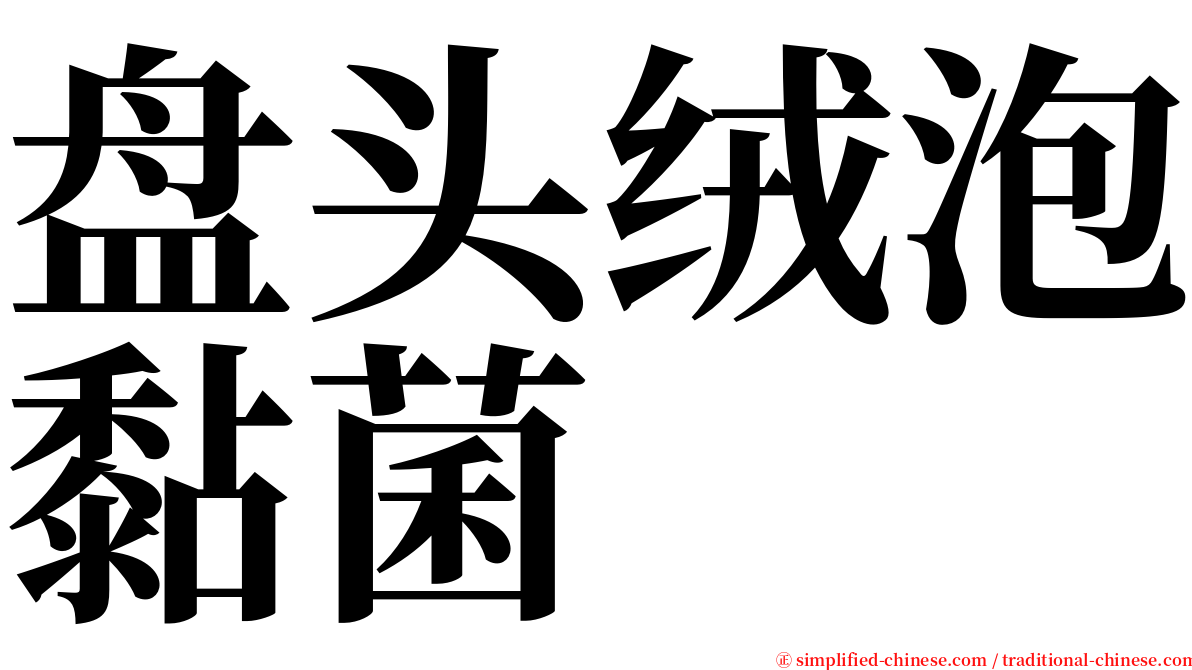 盘头绒泡黏菌 serif font