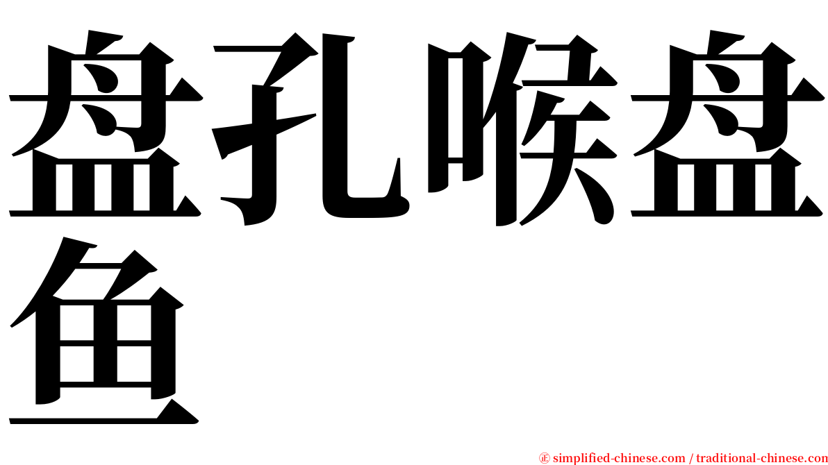 盘孔喉盘鱼 serif font