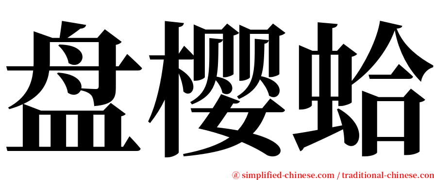 盘樱蛤 serif font