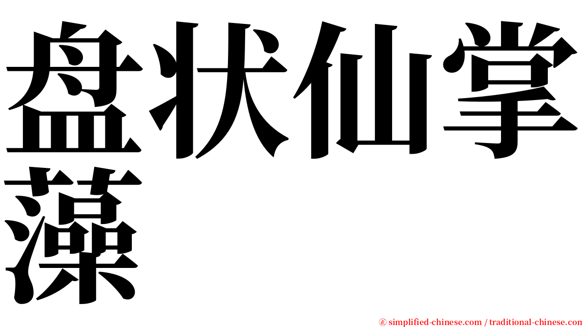 盘状仙掌藻 serif font