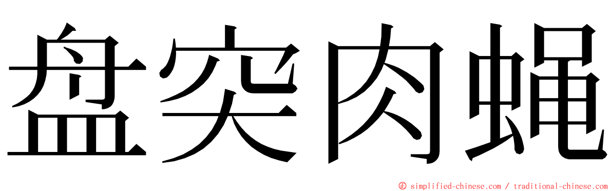 盘突肉蝇 ming font