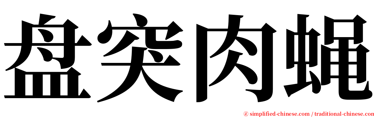 盘突肉蝇 serif font