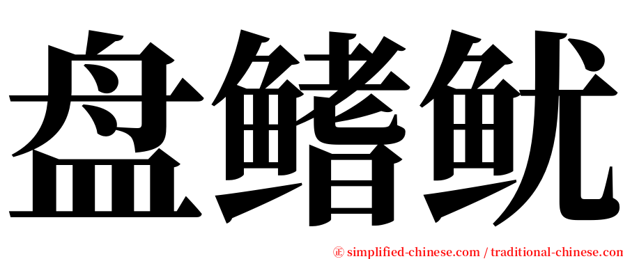 盘鳍鱿 serif font