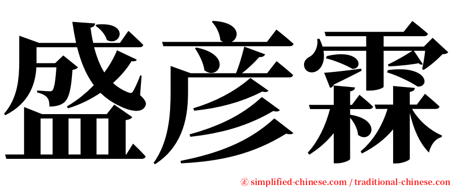 盛彦霖 serif font