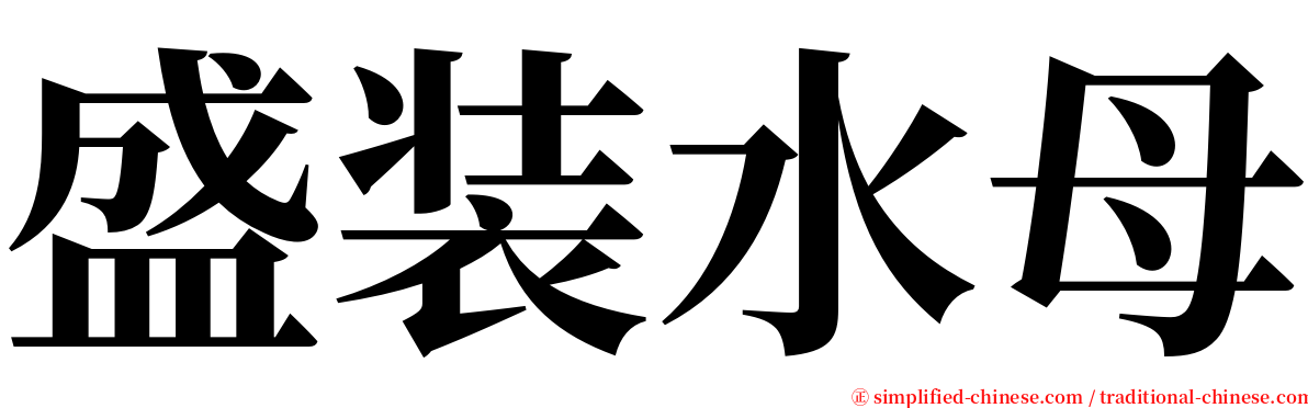 盛装水母 serif font