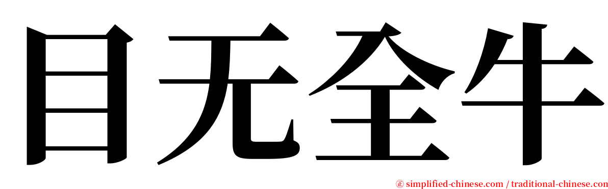 目无全牛 serif font