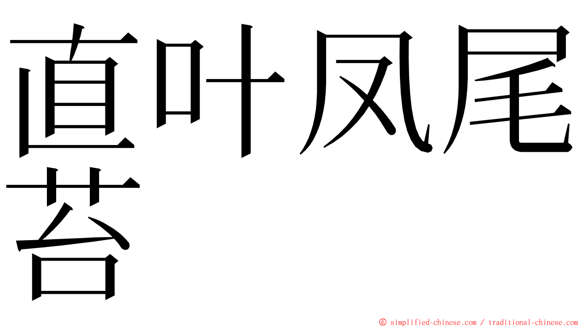 直叶凤尾苔 ming font