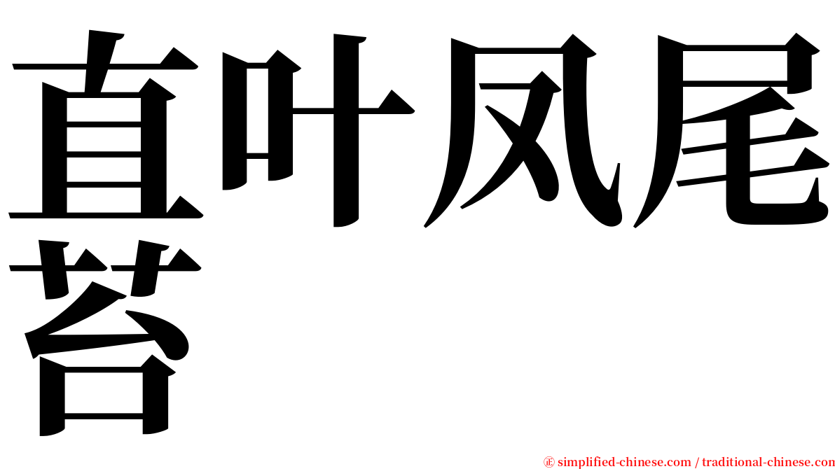 直叶凤尾苔 serif font