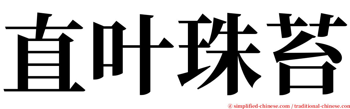 直叶珠苔 serif font