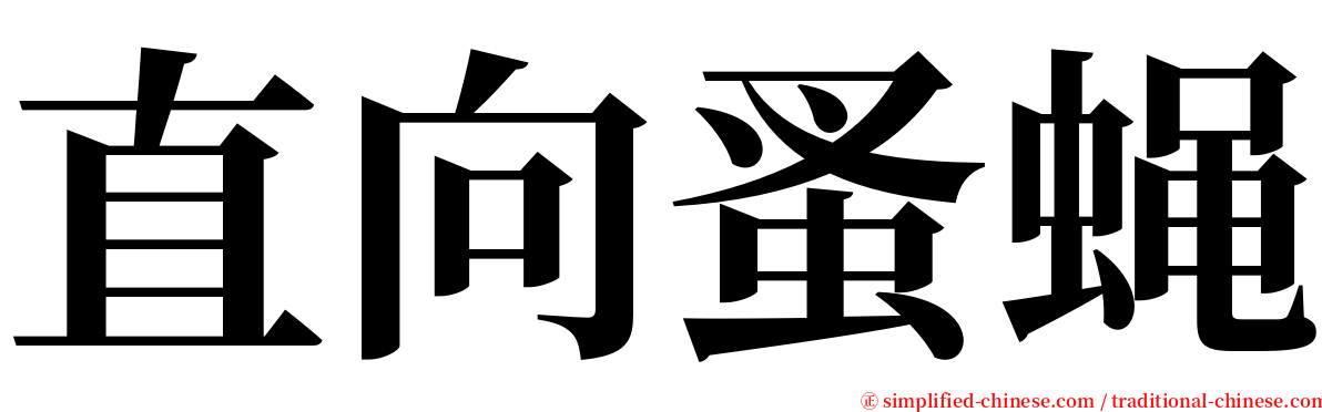 直向蚤蝇 serif font