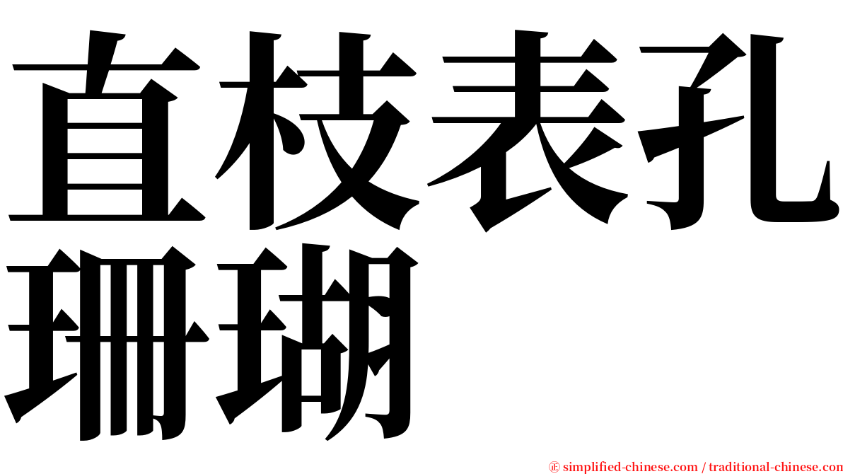 直枝表孔珊瑚 serif font