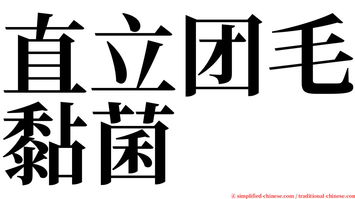 直立团毛黏菌 serif font