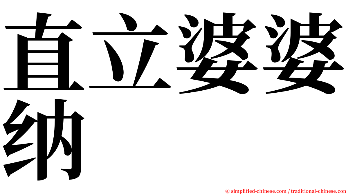 直立婆婆纳 serif font