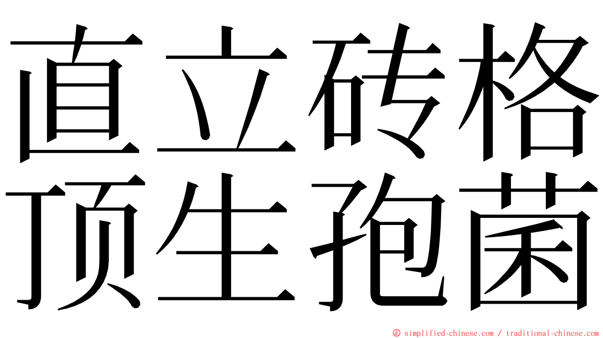 直立砖格顶生孢菌 ming font