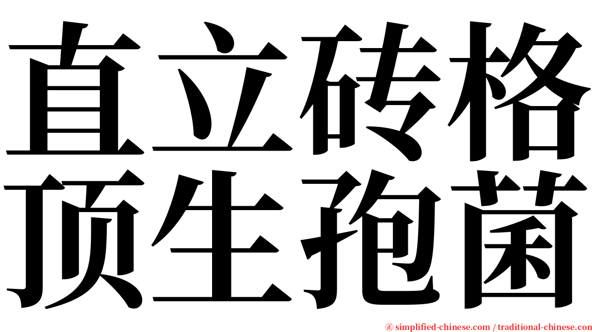 直立砖格顶生孢菌 serif font