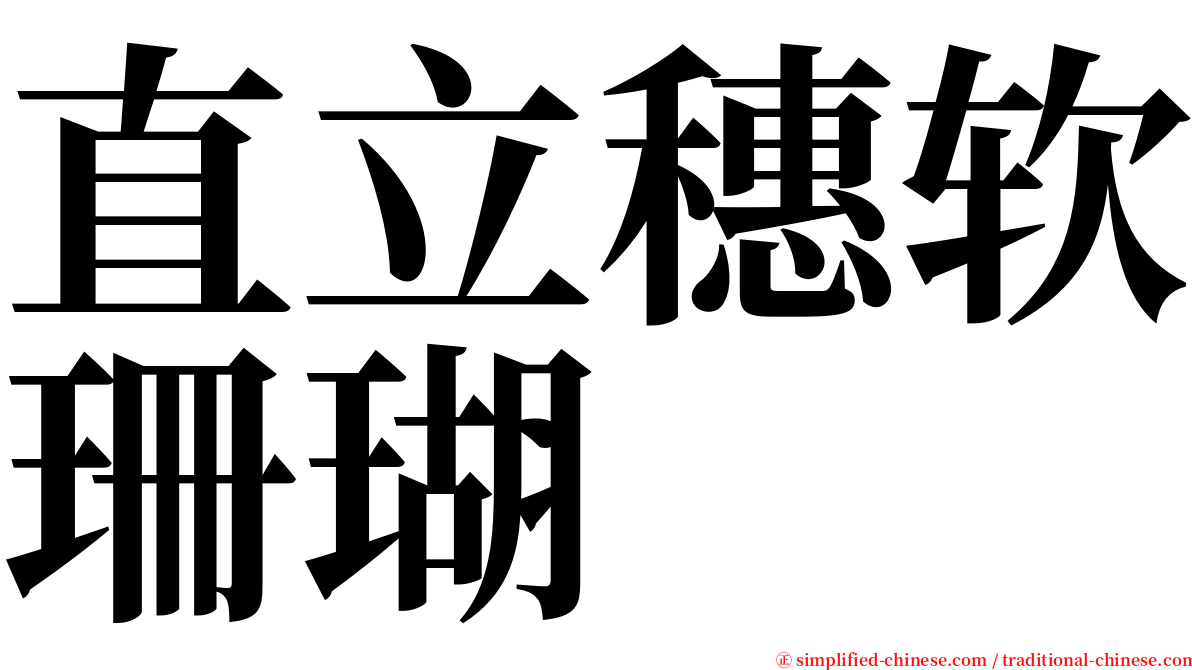 直立穗软珊瑚 serif font