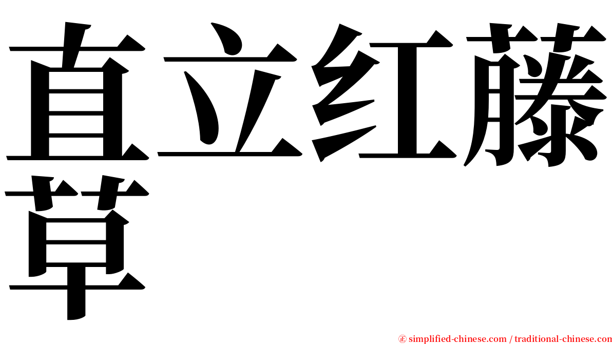 直立红藤草 serif font