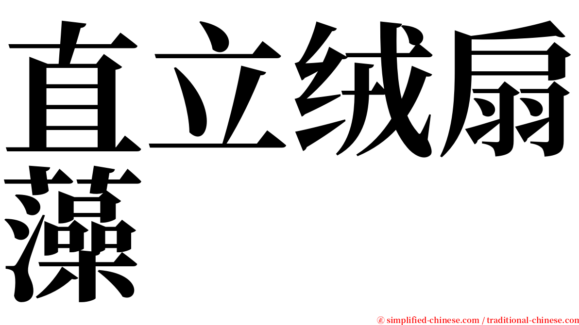 直立绒扇藻 serif font