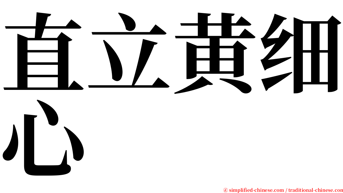 直立黄细心 serif font