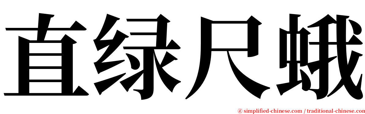 直绿尺蛾 serif font