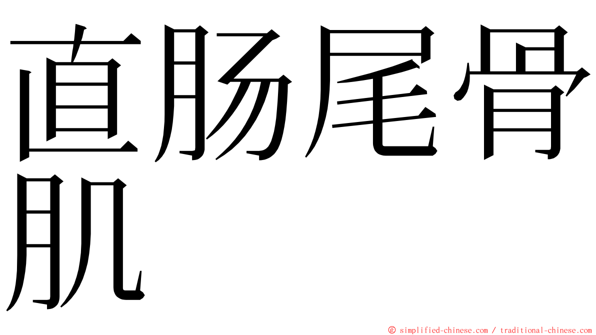 直肠尾骨肌 ming font