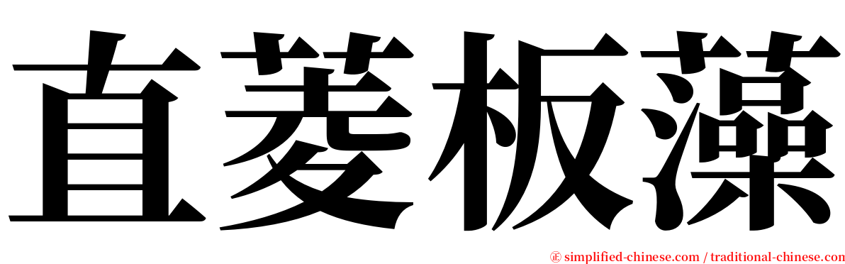 直菱板藻 serif font