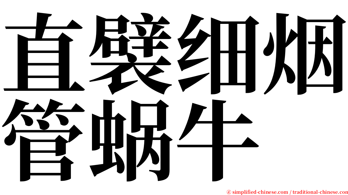 直襞细烟管蜗牛 serif font