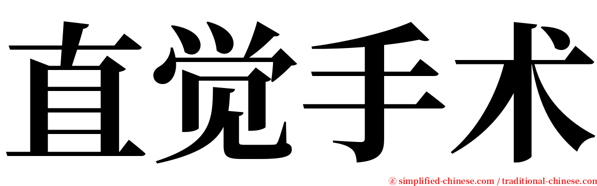 直觉手术 serif font