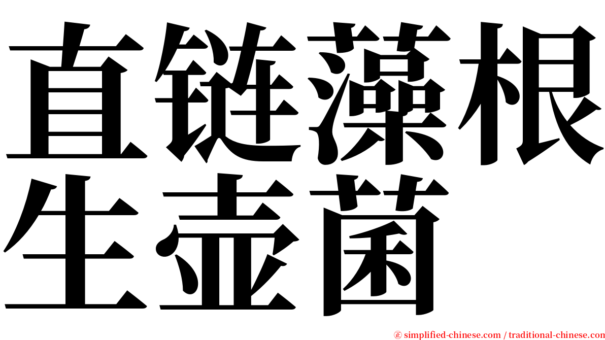 直链藻根生壶菌 serif font