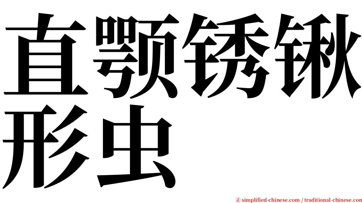 直颚锈锹形虫 serif font