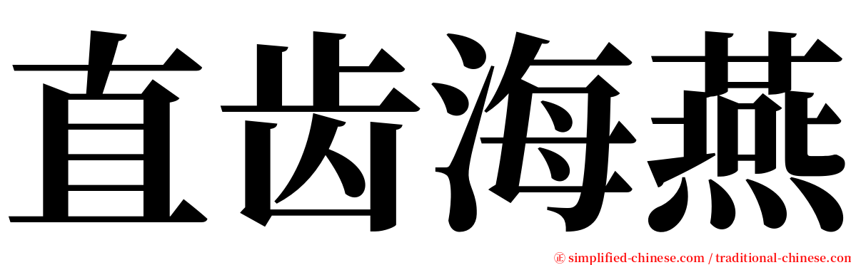 直齿海燕 serif font